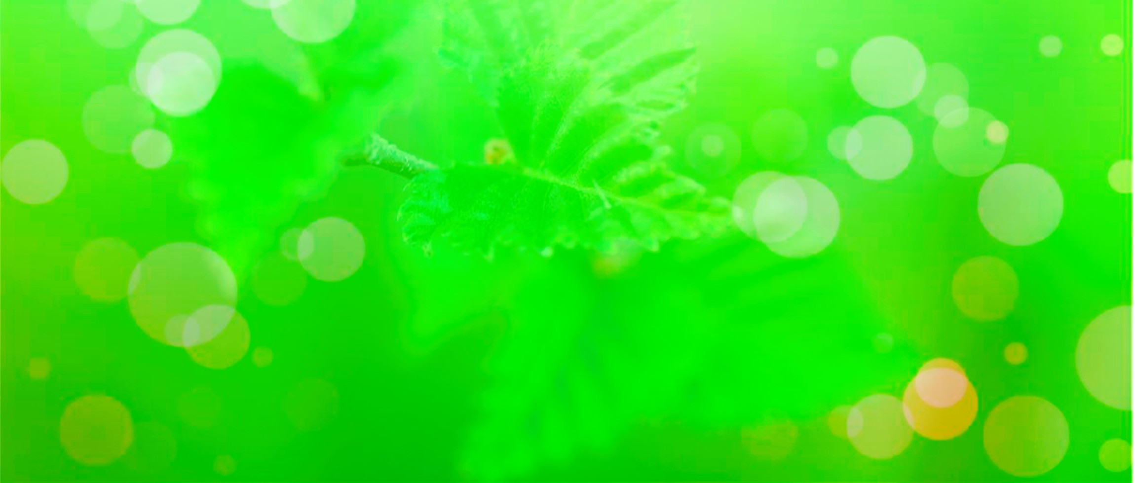 汇聚各种网创项目及破解资源 游戏辅助