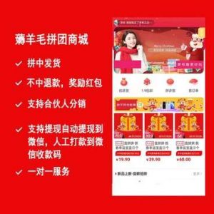 薅羊毛拼团商城小程序源码v2.8.6+前端-壹选网-各种精选资源福利