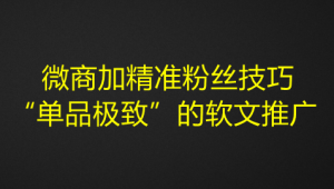 微商加精准粉丝技巧,“单品极致”的软文推广-壹选网-各种精选资源福利