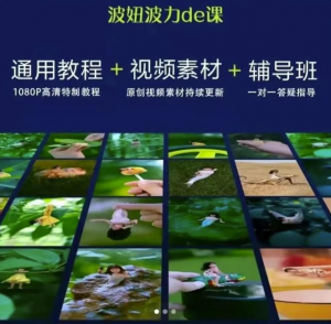 视频制作视频通用教程+视频素材+辅导班-壹选网-各种精选资源福利