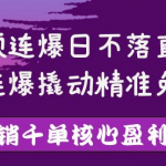 视频连爆撬动精准免费流量，让你卖货日销千单-壹选资源网-各种项目精选资源下载