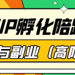 超级IP孵化课程：教你打造个人IP做好副业（高阶版）41节课-壹选资源网-各种项目精选资源下载