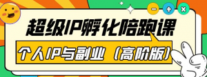 超级IP孵化课程:教你打造个人IP做好副业(高阶版)41节课-壹选网-各种精选资源福利