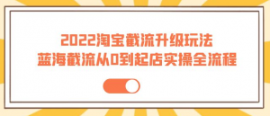 2022淘宝截流玩法课程：从0到起店实操蓝海截流全流程（外面售价998）-壹选网-各种精选资源福利