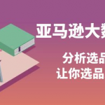 亚马逊蓝海产品选品课:分析选品方法技巧(巧选蓝海产品)-壹选资源网-各种项目精选资源下载