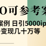 优秀网站SEO实操案例, 日引5000ip+涨粉百W+变现几十W-壹选资源网-各种项目精选资源下载