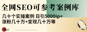 优秀网站SEO实操案例, 日引5000ip+涨粉百W+变现几十W-壹选网-各种精选资源福利