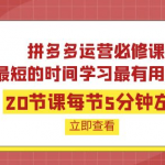 拼多多开店运营课程：用最短的时间学好拼多多运营-壹选资源网-各种项目精选资源下载