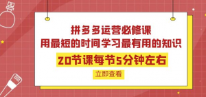 拼多多开店运营课程:用最短的时间学好拼多多运营-壹选网-各种精选资源福利
