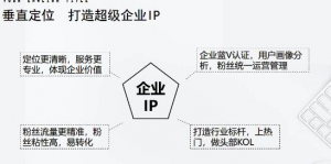 短视频带货合集详细教程(外边卖3980元)-壹选网-各种精选资源福利