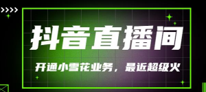 抖音直播间开通小雪花业务(外面收费288)最近超火-壹选网-各种精选资源福利
