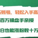打造搞笑聊天账号：轻松入手高效变现，小白也能涨粉数十万-壹选资源网-各种项目精选资源下载