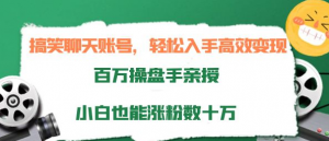 打造搞笑聊天账号:轻松入手高效变现,小白也能涨粉数十万-壹选网-各种精选资源福利