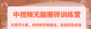 中视频搬砖玩法:纯视频剪辑搬运,无需写文案就能获取收益!-壹选网-各种精选资源福利