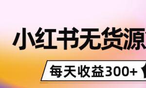小红书无货源怎么赚钱：0投入起店，无脑图文精细化玩法，每天收益300+-壹选网-各种精选资源福利