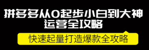 拼多多开店怎么运营:拼多多小白到大神运营全攻略,快速起量打造10W+爆款-壹选网-各种精选资源福利