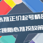 随心推投放技巧:随心推正价起号精品课,实操随心推投放策略-壹选资源网-各种项目精选资源下载