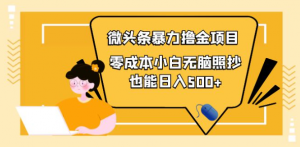 微头条怎么赚钱:微头条最新暴力撸金项目,零成本小白无脑搬运也能日入500+-壹选网-各种精选资源福利