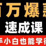 自媒体爆款指南：用数据思维做爆款，小白也能从0-1打造百万播放视频-壹选资源网-各种项目精选资源下载