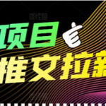 个人工作室创业项目:小说推文拉新项目可批量做【详细教程】外面收费6880-壹选资源网-各种项目精选资源下载