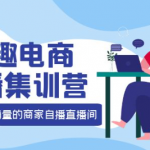兴趣电商直播课程：教你兴趣电商直播怎么做，12种玩法 提高销量核心落地实操！-壹选资源网-各种项目精选资源下载