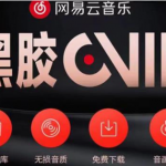 网易云音乐撸黑胶年卡及变现方法【收益可无限放大】-壹选资源网-各种项目精选资源下载