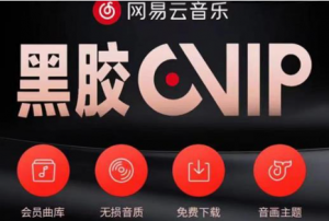 网易云音乐撸黑胶年卡及变现方法【收益可无限放大】-壹选网-各种精选资源福利
