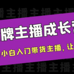 金牌主播成长课程，一周从直播小白入门带货主播，让直播更简单-壹选资源网-各种项目精选资源下载
