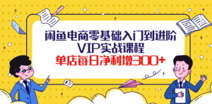 闲鱼电商零基础入门VIP实战课程,单店每日净利增300+(37节课)-壹选网-各种精选资源福利