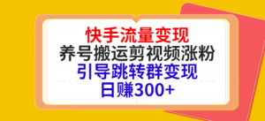 快手流量变现绝密教程,引导跳转群变现日赚300+-壹选网-各种精选资源福利