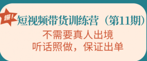 短视频带货训练课程：不需要真人出境，听话照做，保证出单-壹选网-各种精选资源福利