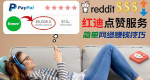 适合新手的副业：出售Reddit点赞服务赚钱，每天躺赚200美元-壹选网-各种精选资源福利