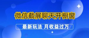 微信截屏聊天开橱窗卖女性用品项目【附工具】-月收益过万-壹选网-各种精选资源福利