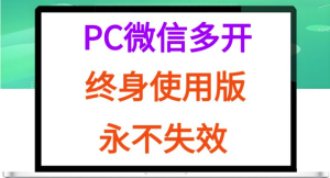 2025PC微信duo开终身定制版【外面售价388】-壹选网-各种精选资源福利